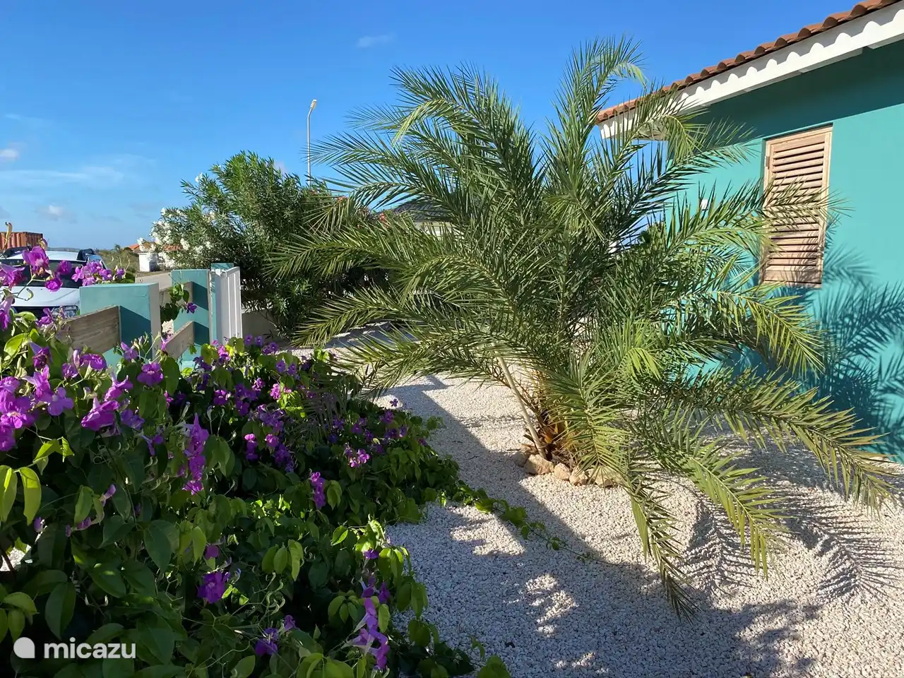 Beau palmier à l'avant de la villa