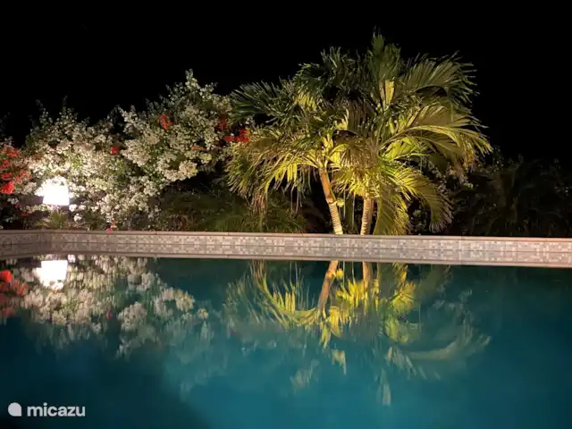 Villa Blou-Berde | Bonaire, Bonaire, Belnem - villa Piscine le soir