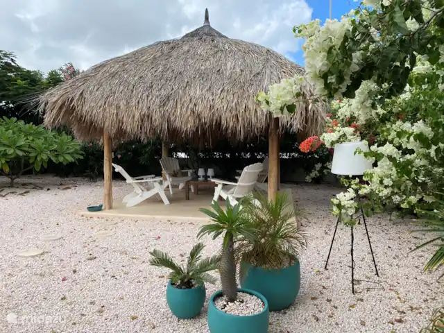 Villa Blou-Berde | Bonaire, Bonaire, Belnem - villa Jardin Juillet 2020