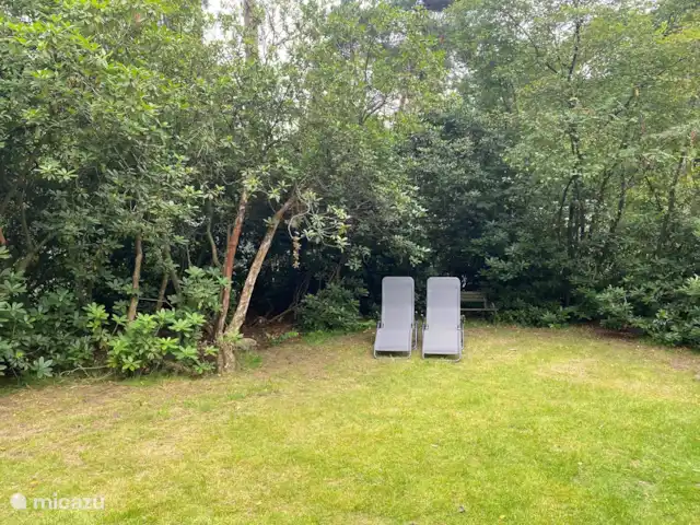 Chalet Leentje | Pays-Bas, Utrecht, Doorn - chalet Le jardin abrité a beaucoup d'intimité
