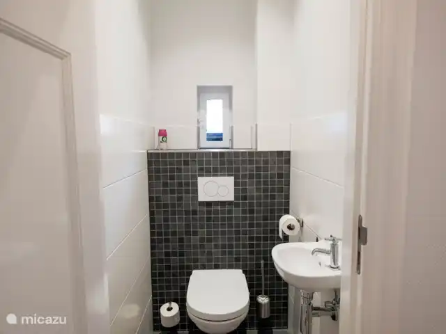 Casa del silvicultor nº 1 Singraven en Países Bajos, Overijssel, Denekamp - casa vacacional WC separado