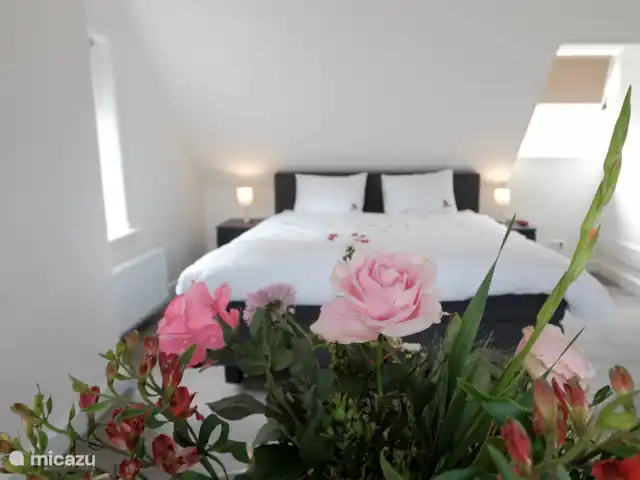 Casa del silvicultor nº 1 Singraven en Países Bajos, Overijssel, Denekamp - casa vacacional dormitorio casa 1