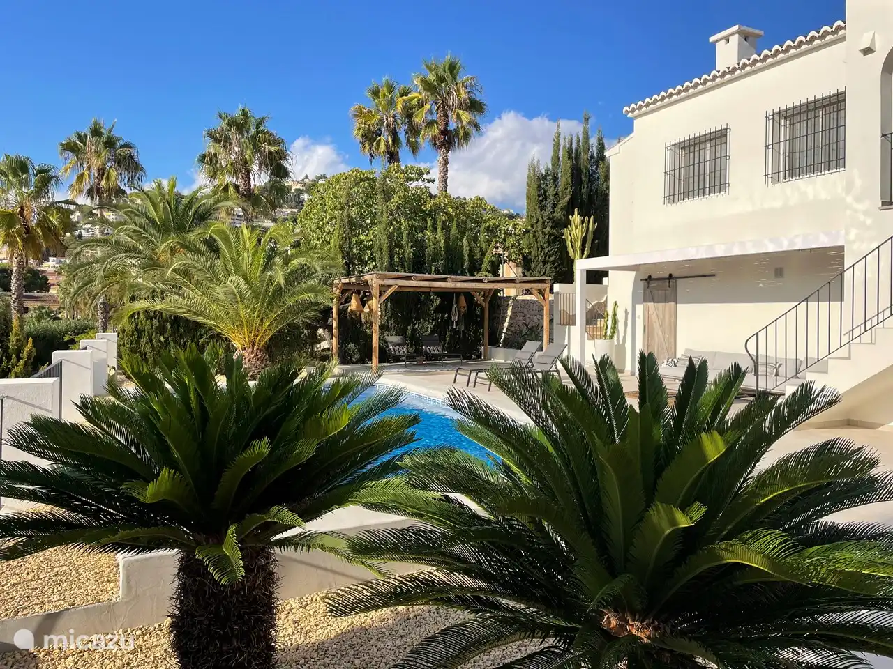 Palmen in de voortuin