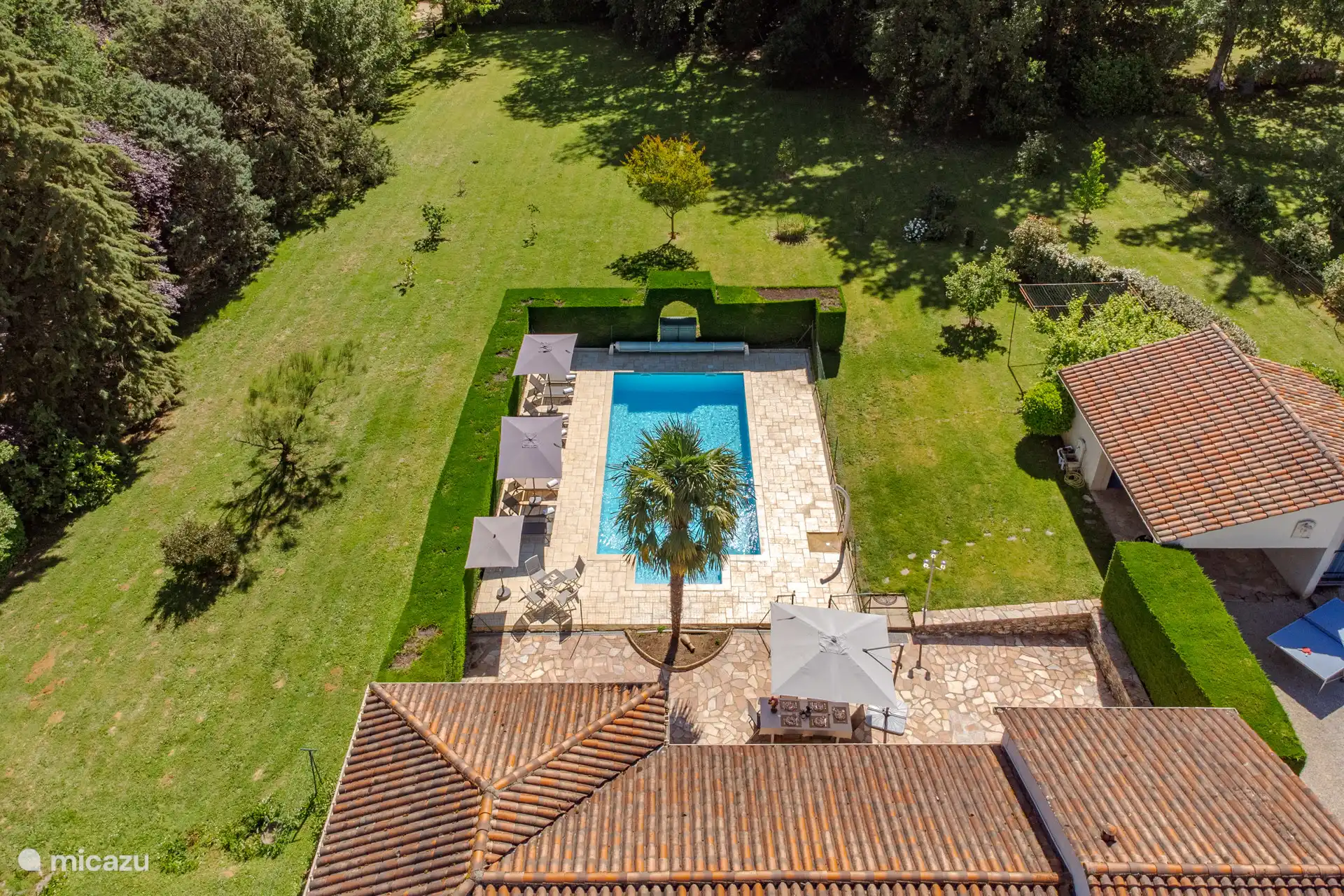 Pool and garden