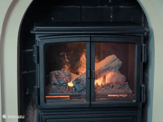 Boswachterswoning nr. 2 Singraven huren in Nederland, Overijssel, Denekamp - vakantiehuis Elektrische open haard