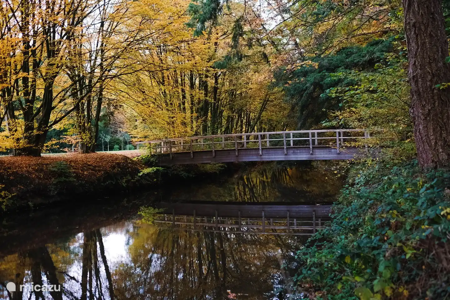 Patio trasero de la casa del guardabosques