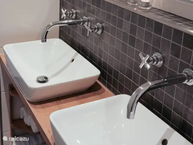 Boswachterswoning nr. 2 Singraven huren in Nederland, Overijssel, Denekamp - vakantiehuis badkamer