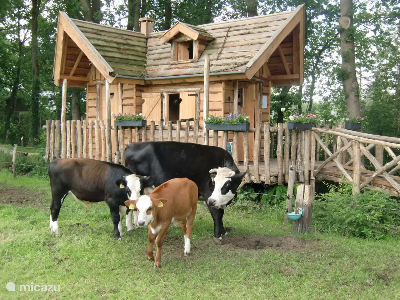 CARE OUT-STAY. A tree house for the elderly, but also nice animals such as these cows.