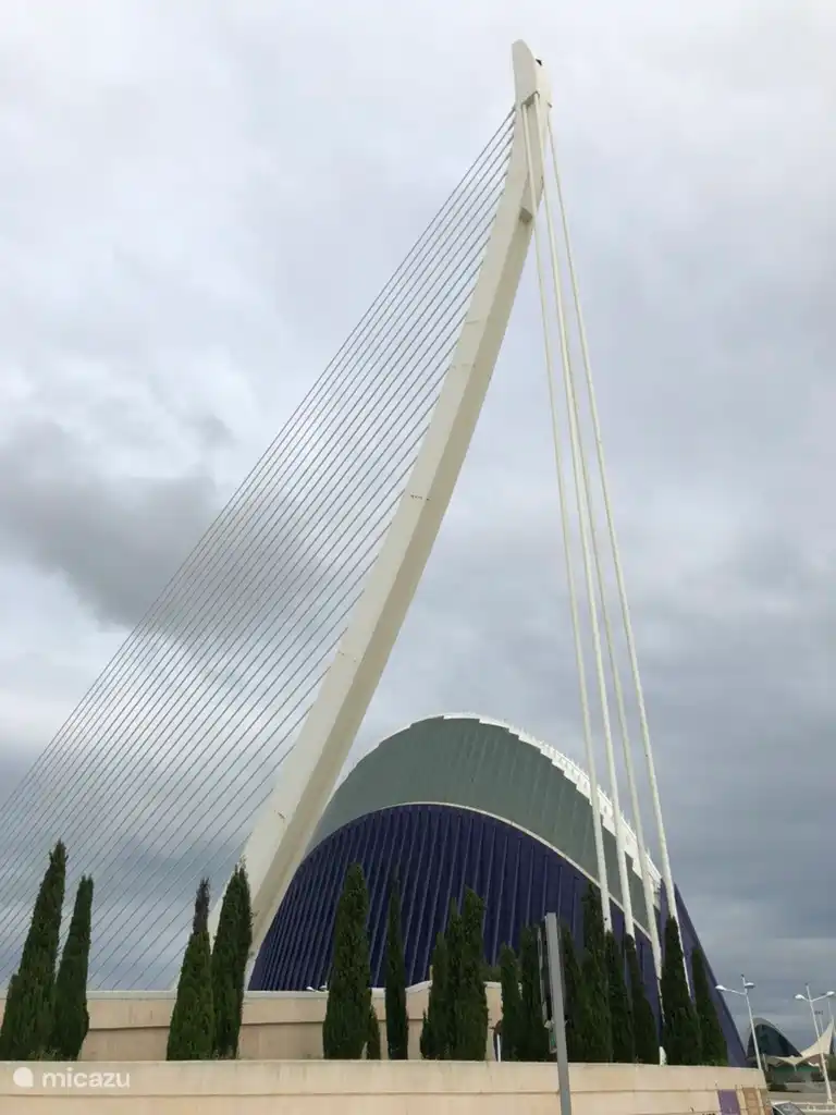 Valencia met de kunst van bouwen door Caletrafa, fietsend door de stad en de  oude rivier de Turia is een absolute aanbeveler. Fietsen en tour via de website Get your Guide te boeken
