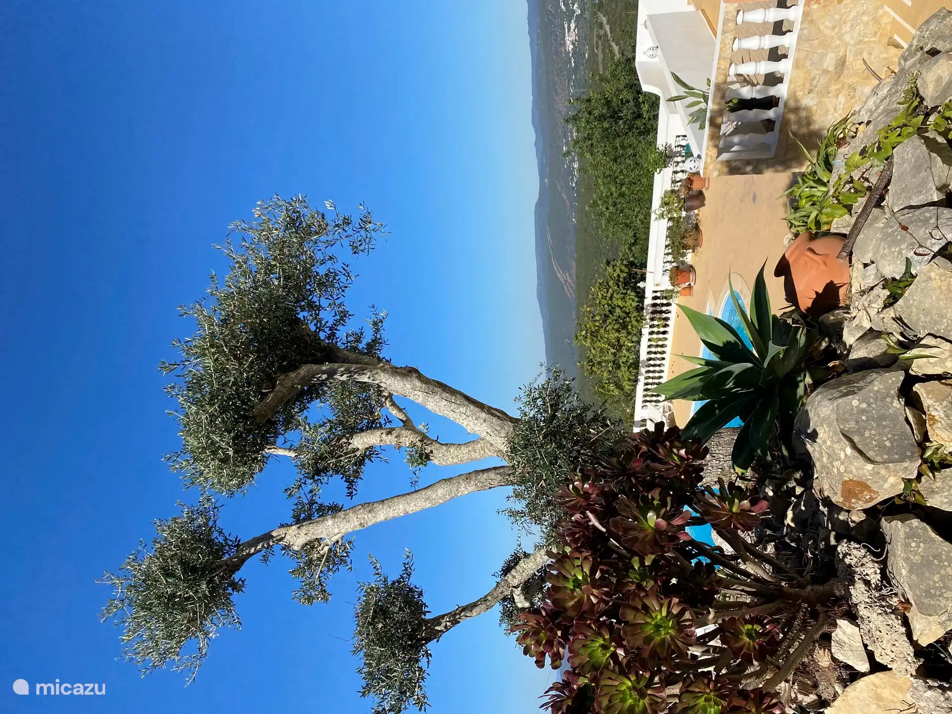 Naturaleza y relajación