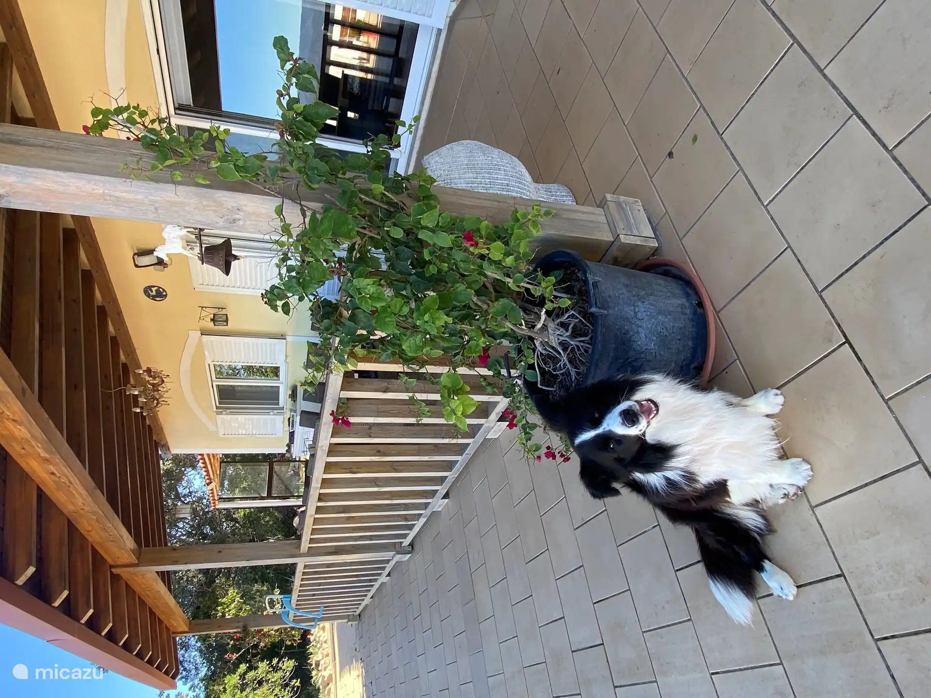 El amigo de todos los huéspedes 