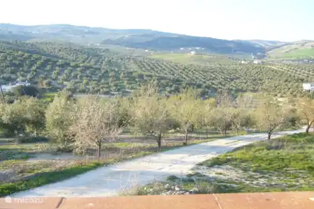 Vakantiehuis Spanje, Andalusië, Montefrio boerderij Cortijo Rosal Bajo