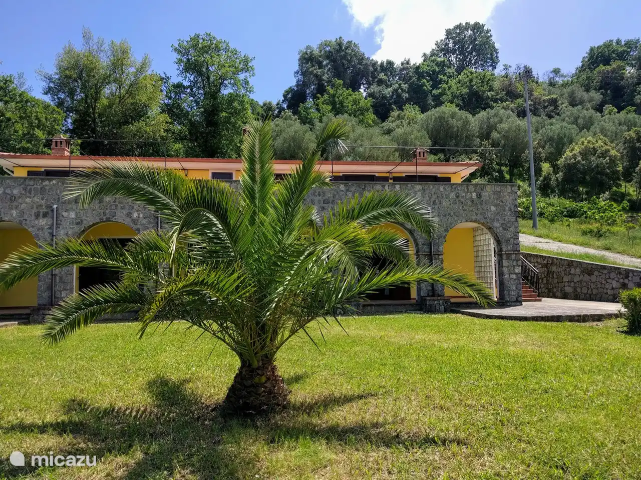 ¡La palma está muy bien!