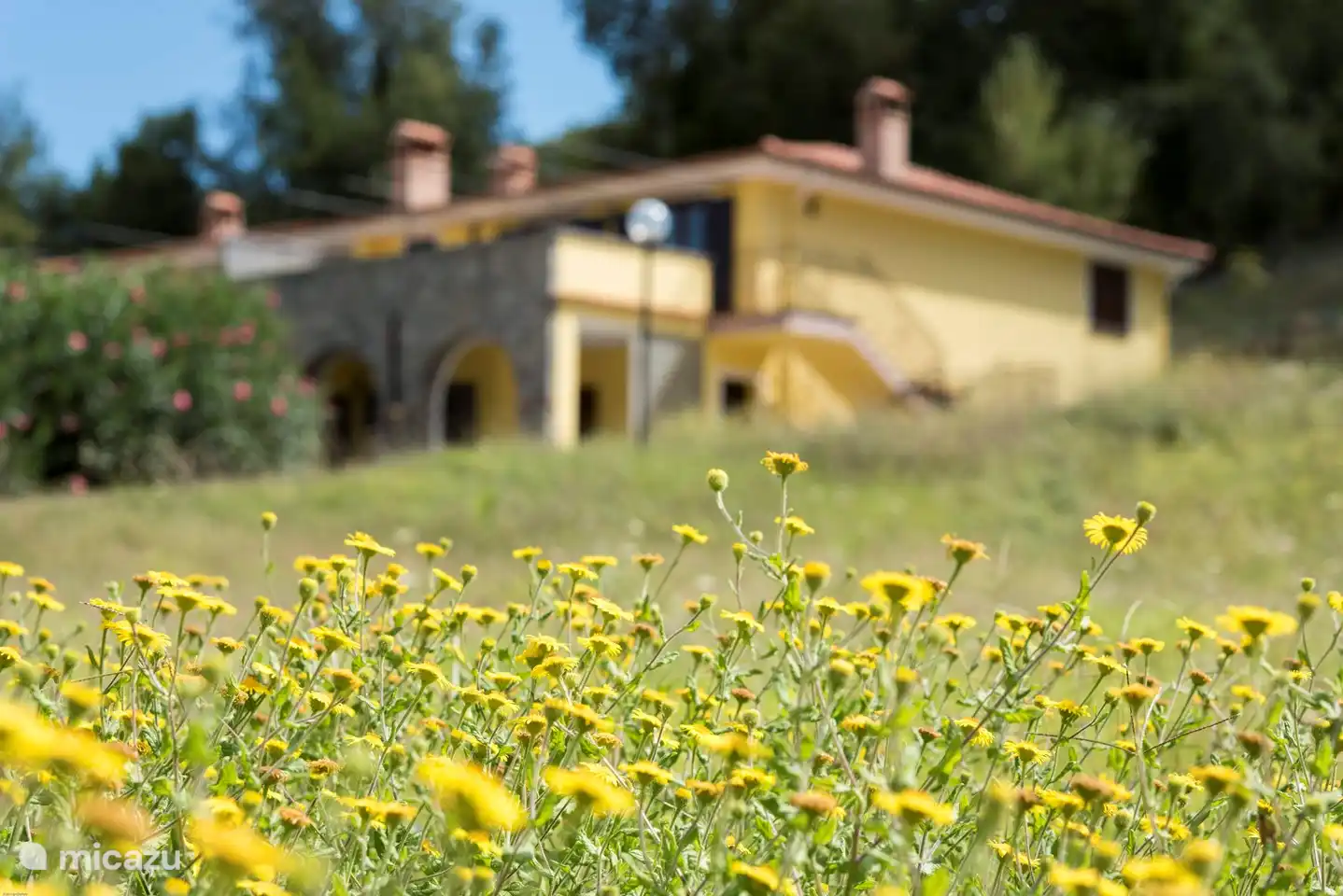 La casa está rodeada por un enorme jardín, en el que siempre florecen las flores silvestres y donde los ruiseñores cantan en primavera.