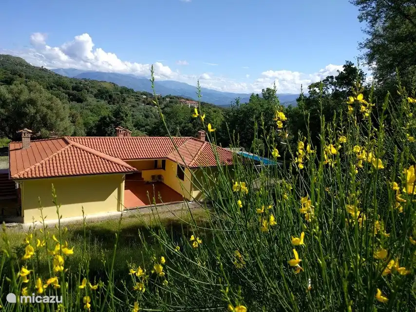 Cuando llegue desde la pequeña carretera, verá el patio detrás de Bianco (izquierda). Al lado de la casa está la piscina.