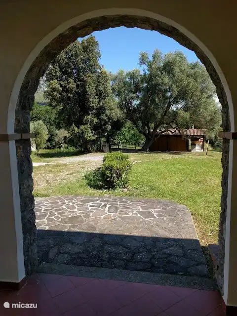 Desde Giallo se puede ver la adelfa. En esta foto acaba de ser podado; en verano huele de maravilla