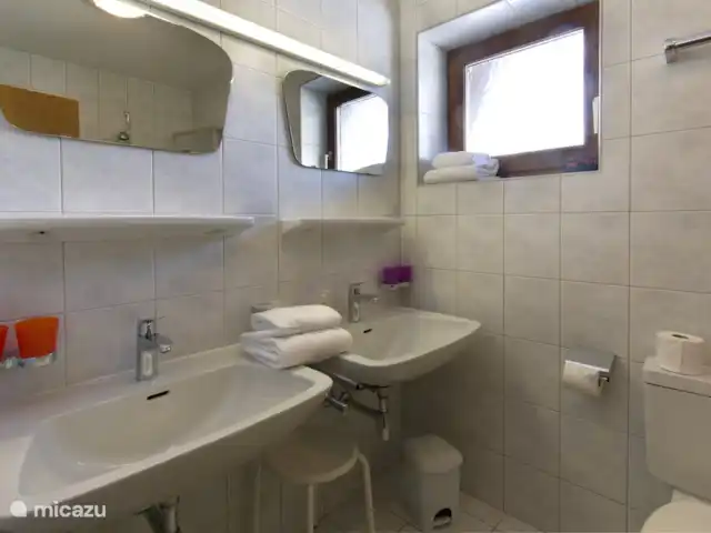 Location de Vacances Autriche, Tyrol, Leutasch, appartement - Appartement Ostbacher Stern B 101 Salle de bain type B
