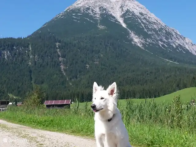 Location de Vacances Autriche, Tyrol, Leutasch, appartement - Appartement Ostbacher Stern C 108 Luna dans le Leutaschtal