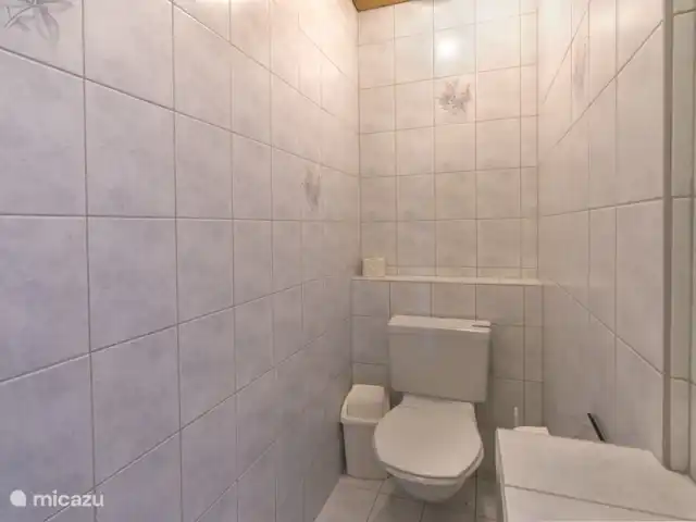 Location de Vacances Autriche, Tyrol, Leutasch, appartement - Appartement Ostbacher Stern D 110 Toilettes type D