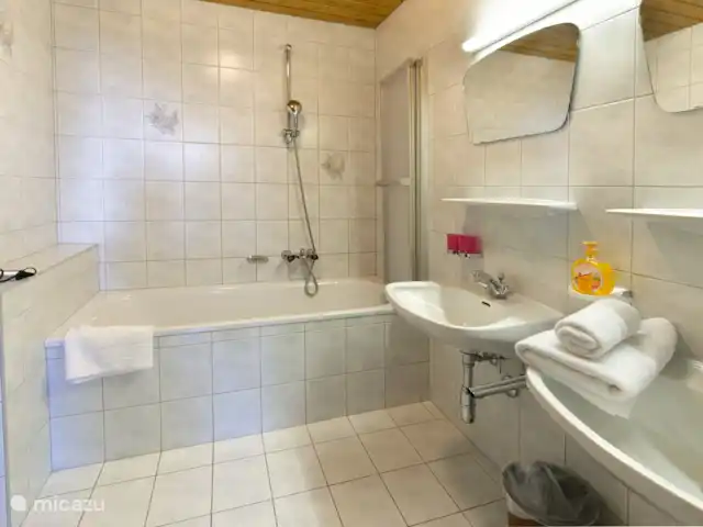 Location de Vacances Autriche, Tyrol, Leutasch, appartement - Appartement Ostbacher Stern D 110 Salle de bain type D
