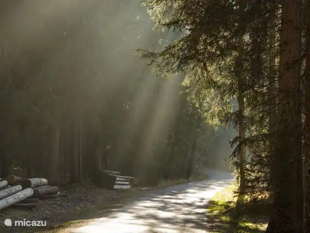 Location de Vacances Autriche, Tyrol, Leutasch, appartement - Ostbacher Stern Studio A 106 dans les bois