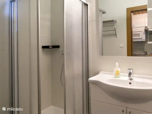 Location de Vacances Autriche, Tyrol, Leutasch, appartement - Ostbacher Stern Studio A 106 Salle de bain type A