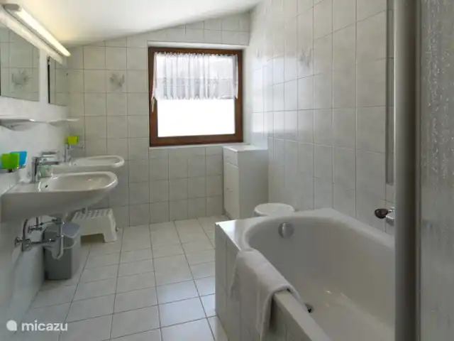 Location de Vacances Autriche, Tyrol, Leutasch, appartement - Appartement Ostbacher Stern C 112 Salle de bain type C 112