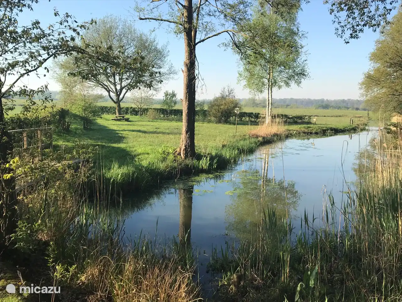 Einzigartige Lage am Waldrand.
