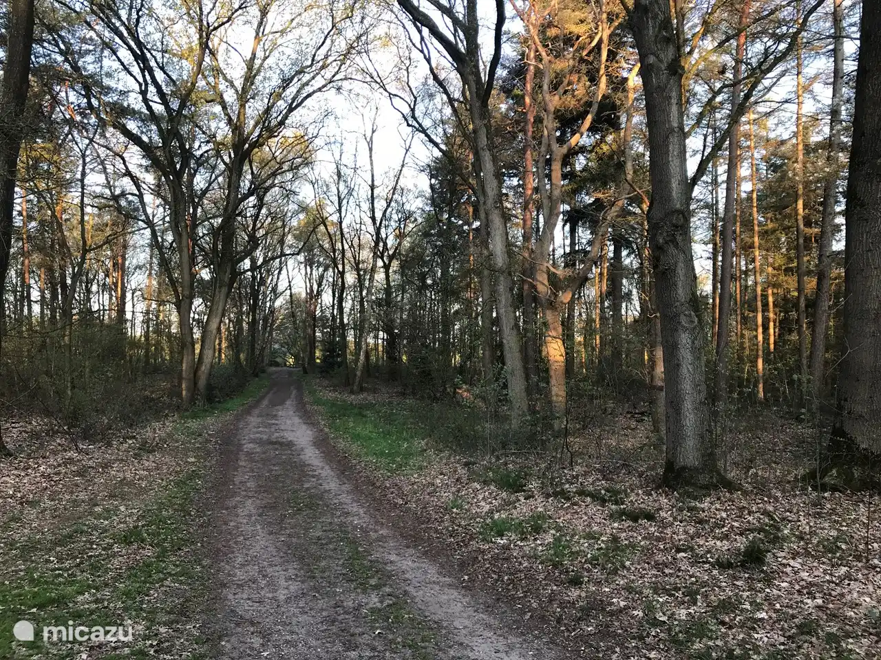 Das Hotel liegt im Wald auf unbefestigten Weg.