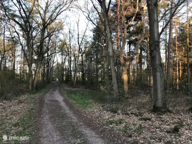 De Olde Regge | Pays-Bas, Overijssel, Ommen - maison de vacances Situé dans les bois sur un chemin non asphalté.