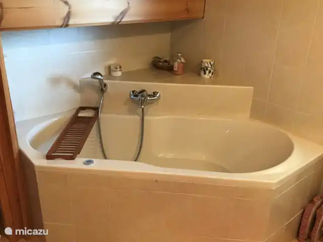 De Olde Regge | Pays-Bas, Overijssel, Ommen - maison de vacances Salle de bain avec baignoire