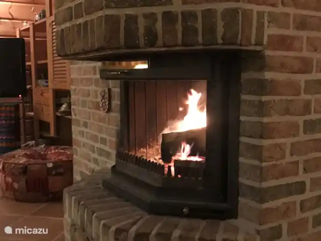 De Olde Regge | Pays-Bas, Overijssel, Ommen - maison de vacances Salon avec cheminée
