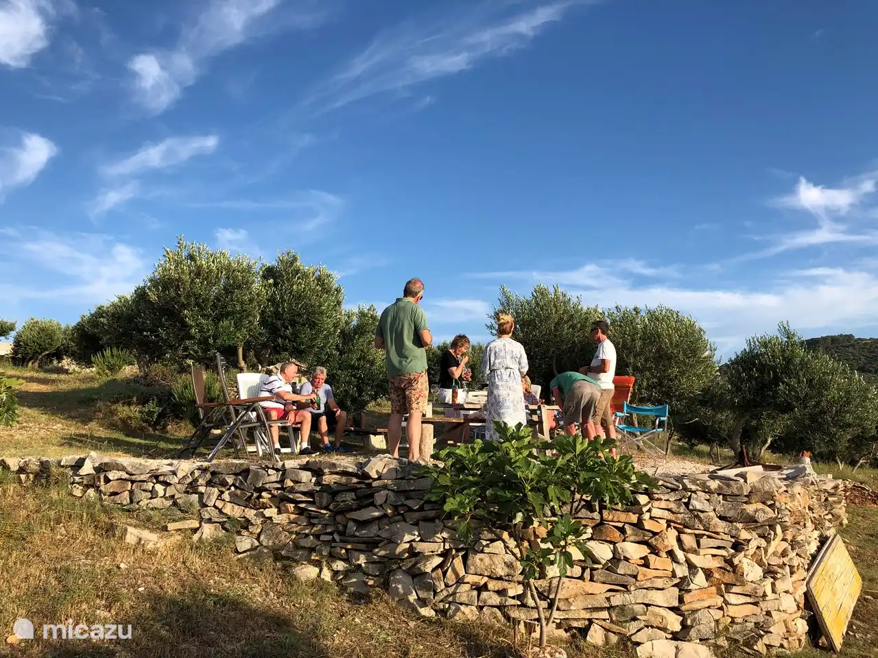 BBQ among the olive trees in the hills