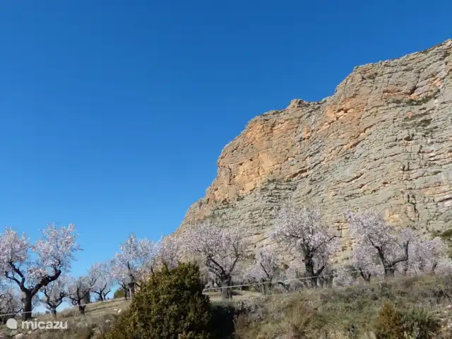 Casa Mauri - Le Chalet | Espagne, Catalogne, Tremp - appartement Serra de Boumort, où il fait (encore) de belles balades.