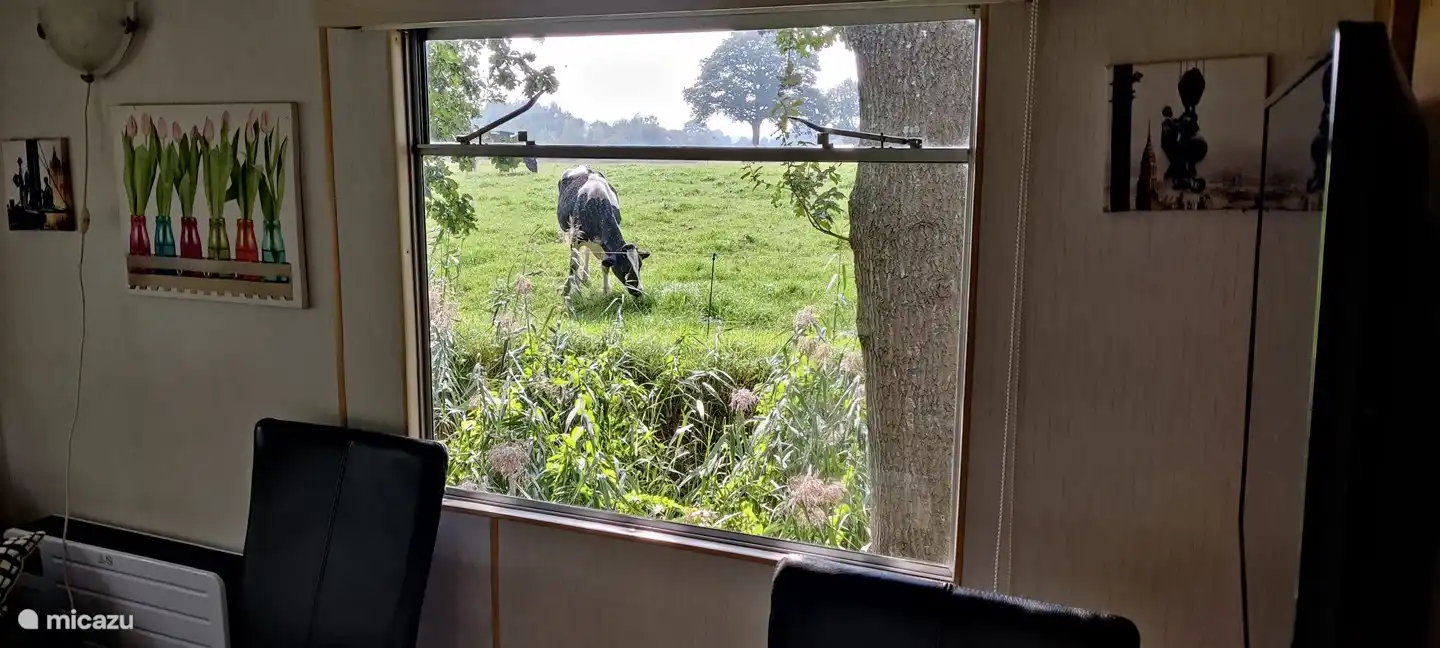 Ansicht Küche auf Wiese