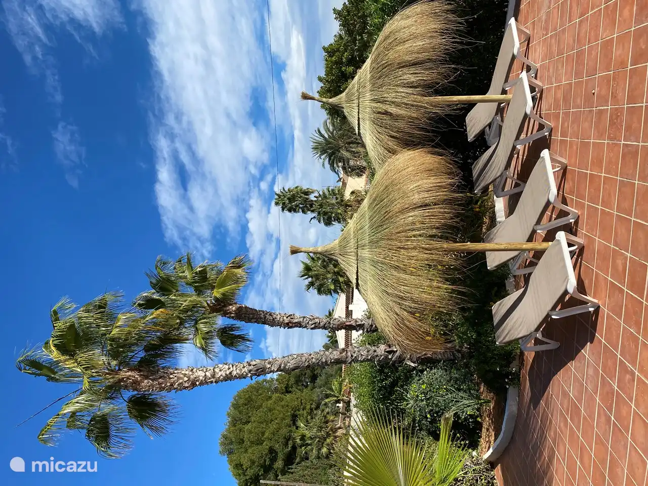 Chaises longues dans une ambiance méridionale.