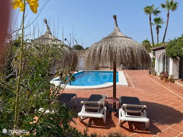 Terrain plat, très pratique et beaucoup d'espace autour d'une grande piscine.