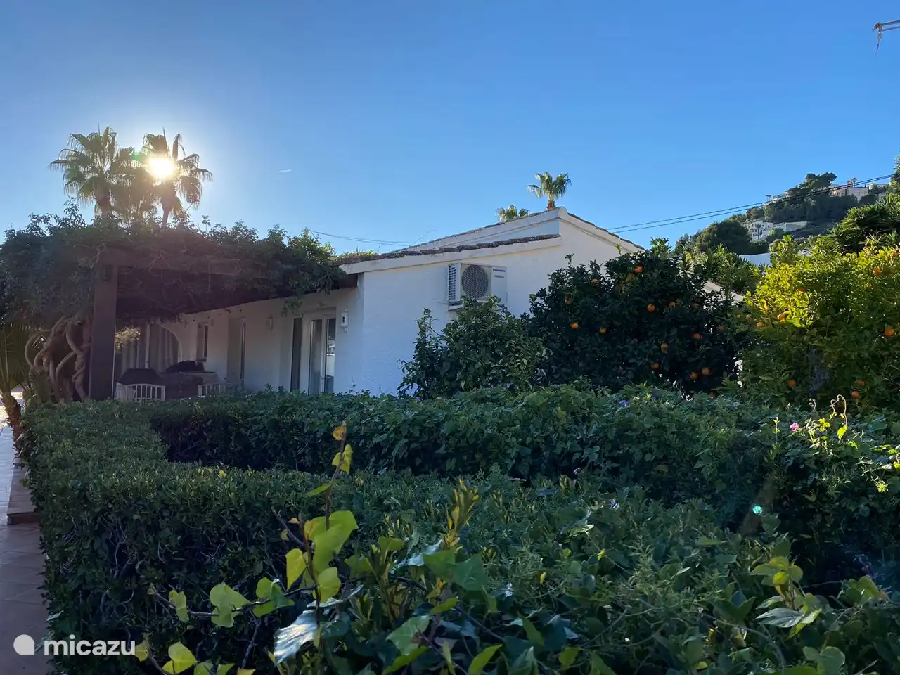 Le jardin est entouré de verdure, malgré les températures élevées en été.