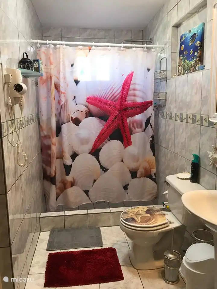 Baño con ducha de agua caliente
