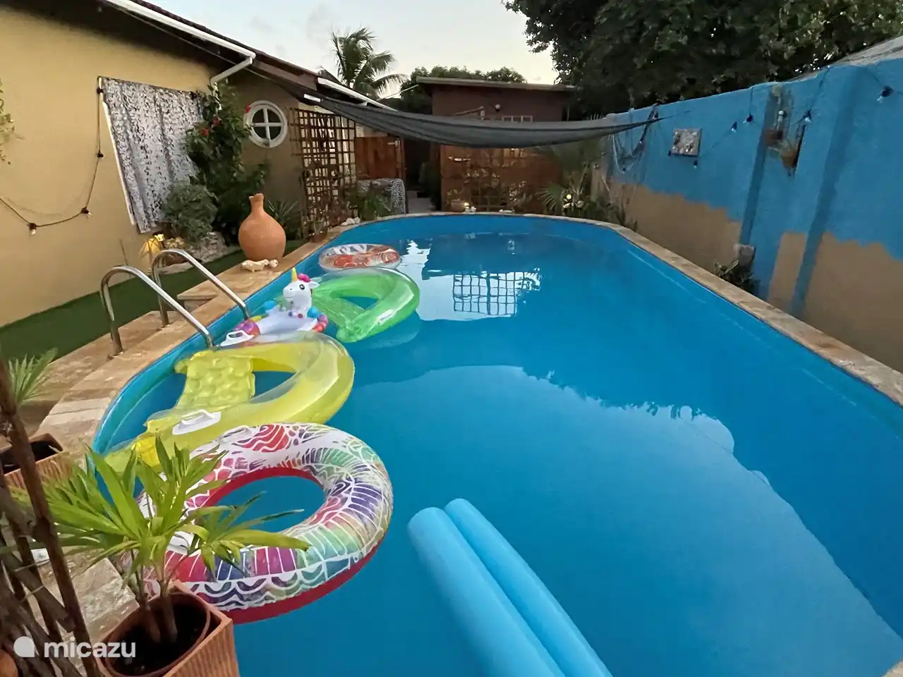 de todo tipo de correas, fideos para nadar