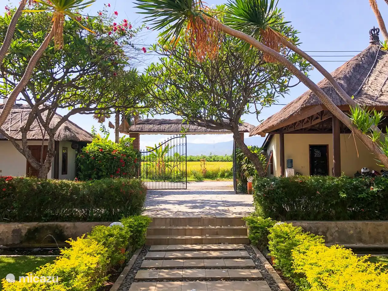 Vista sobre los campos de arroz y las montañas. Qué fantásticamente hermoso es el norte de Bali. Bali Sea Villas - Norte de Bali