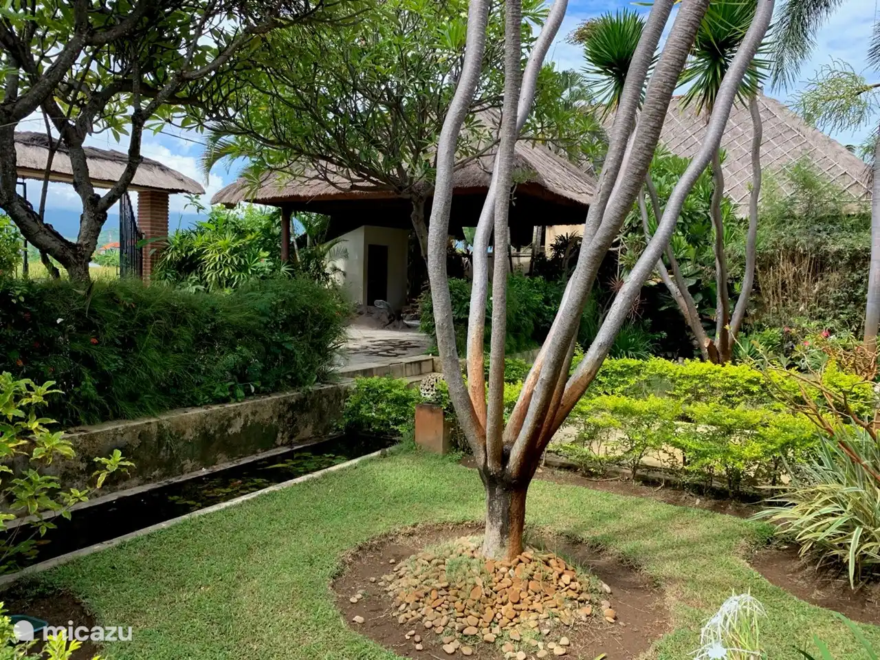 Hermoso jardín también en el frente.