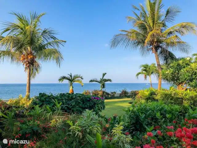 Villa Bidadari 3 chambres + bk piscine plage | Indonésie, Bali, Lovina - villa Quel jardin ! Quelle vue! Quand viens-tu ?