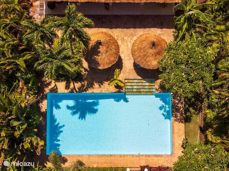Maison de Vacances Indonésie, Bali, Lovina Villa Villa Bidadari 3 chambres + bk piscine plage