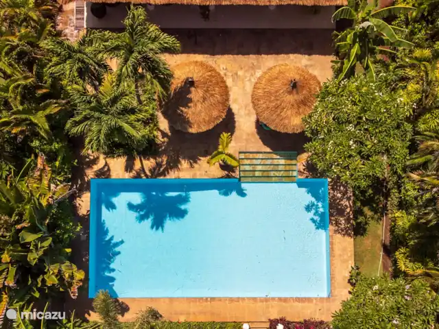 Villa Bidadari 3 chambres + bk piscine plage | Indonésie, Bali, Lovina - villa Se détendre au bord de votre propre piscine