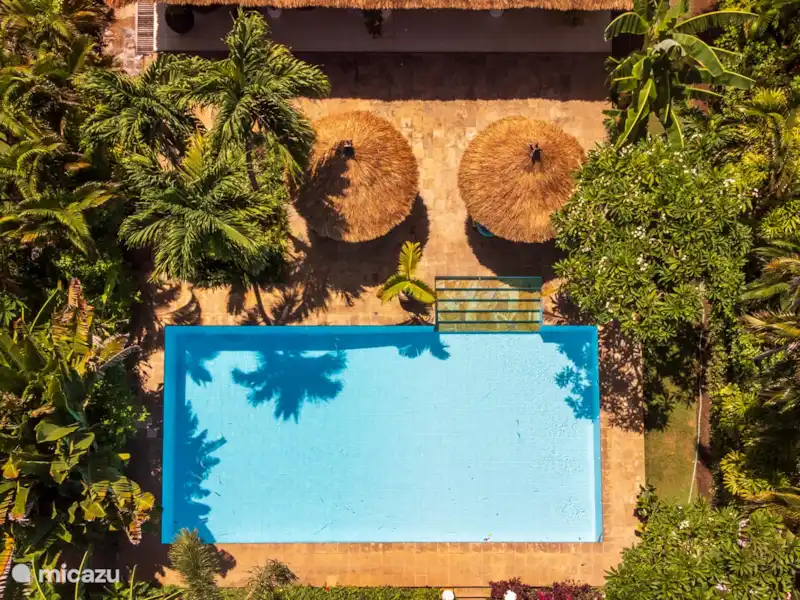 Villa Bidadari 3 chambres + bk piscine plage | Indonésie, Bali, Lovina - Villa Villa Bidadari 3 chambres + bk piscine plage | Indonésie, Bali, Lovina - Villa
