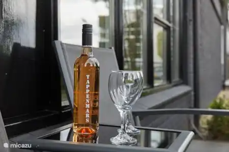 Vakantiehuis Nederland, Overijssel, Den Ham appartement Enjoy