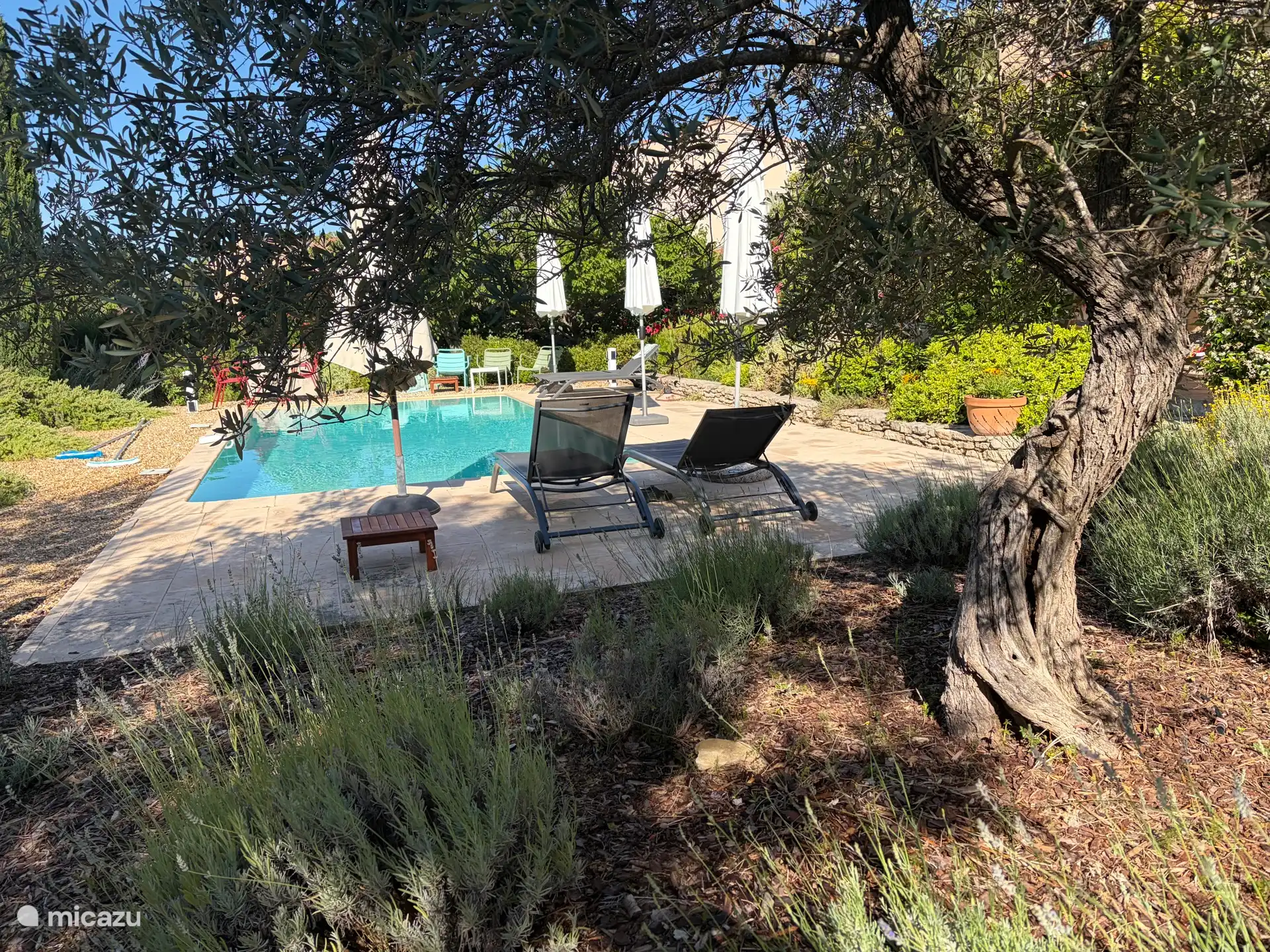 Cette photo a été prise depuis l’allée. La piscine est équipée d’une alarme pour la sécurité des enfants.