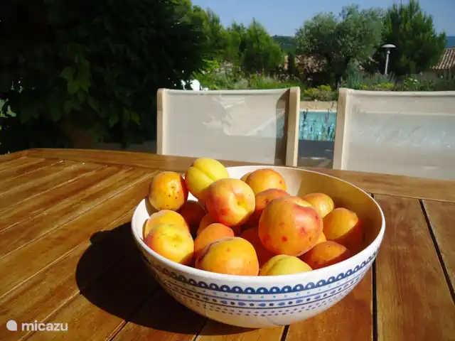 Villa Saumane en Francia, Vaucluse, Saumane-de-Vaucluse - villa Una amplia mesa de comedor con 8 sillas en la terraza exterior