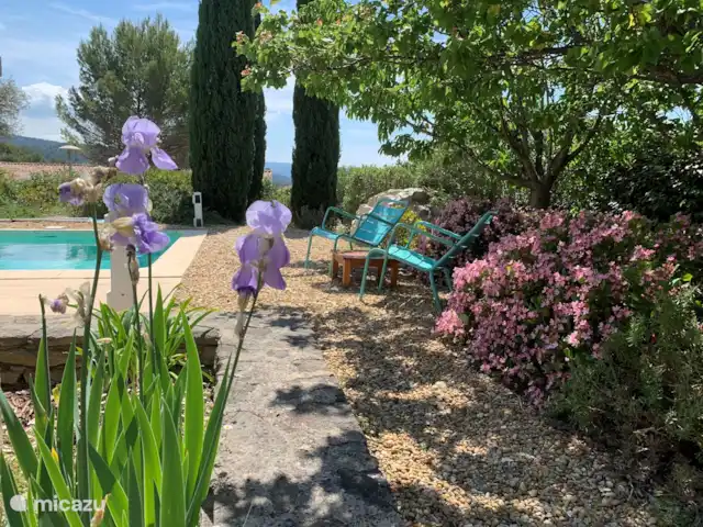 Villa Saumane en Francia, Vaucluse, Saumane-de-Vaucluse - villa En todas las estaciones hay floración en nuestro jardín.